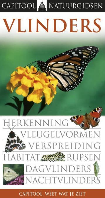 Vlinders / Capitool Natuurgidsen 9789047506324 Paul Sterry, Verzenden, Paul Sterry