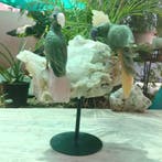 Groene Aventurijn (vogels), Rozenkwarts en Gele Calciet