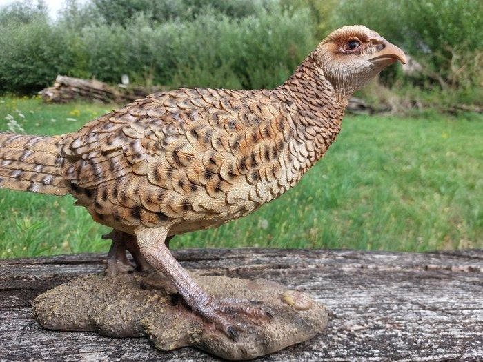 Beeld, Pheasant hen - 25 cm - polyresin, Antiek en Kunst, Kunst | Designobjecten