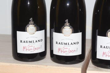 2019 Raumland, Cuvee Marie-Luise brut - Rheinhessen - 4