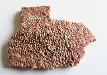 Dinosauruseierenschalen uit Frankrijk - Gefossiliseerd ei -