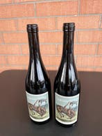 2023 Philine Isabelle & Lalu’ Cavallo Scosso Nebbiolo -