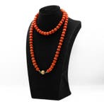 Chaîne - 14 carats Or jaune Corail rouge