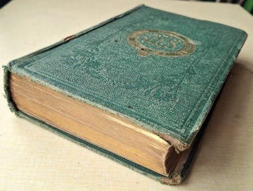 Sowerby and Johnson - British Wild Flowers Illustrated