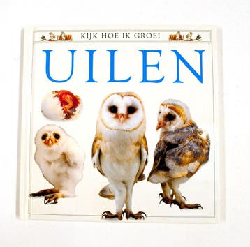 Uilen / Kijk hoe ik groei 9789035906761 Mary Ling, Verzenden, Gelezen, Mary Ling