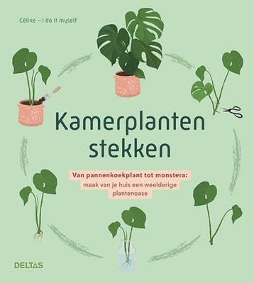 Kamerplanten stekken 9789044761344 CELINE, Boeken, Verzenden, Zo goed als nieuw, CELINE