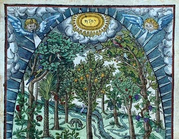 Paradisus Terrestris - 1656