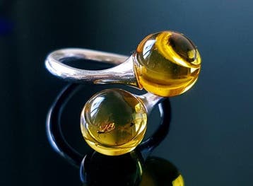 Zeldzame zilveren ring van natuurlijk Baltisch amber met