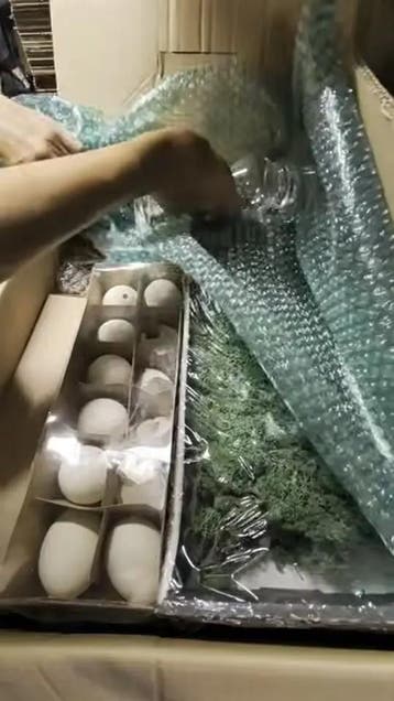 Restantenbox voorjaar eieren, vogels, veren, doos, Maison & Meubles, Accessoires pour la Maison | Plantes & Fleurs artificielles