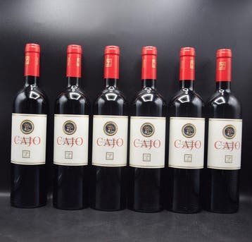 2019 Terre de Trinci, Rosso Cajo - Ombrie IGT - 6