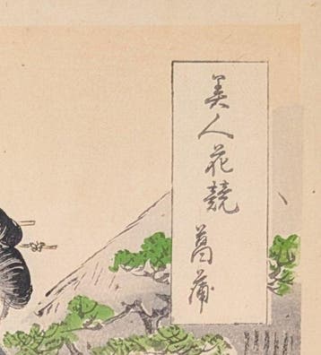 Ogata Gekk • Irisentuin • Schoonheden vergeleken met