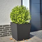 vidaXL Plantenbak 50x50x50 cm staal zwart, Verzenden, Nieuw
