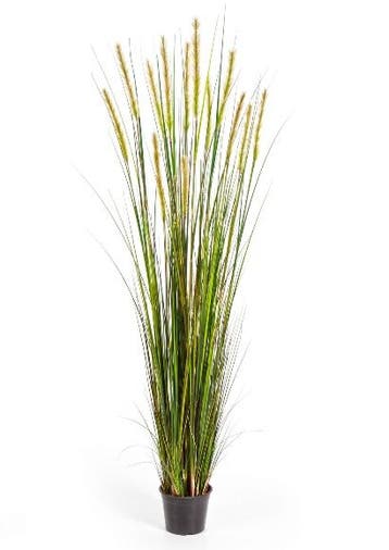 Kunstplant Vossenstaart Gras Groen 180 cm, Verzenden