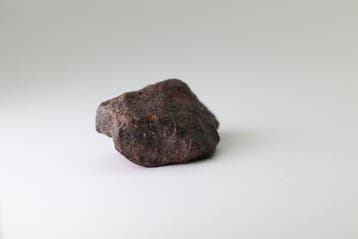 NWA 16208 Météorite achondrite primitive (Winonaita) - 8.24