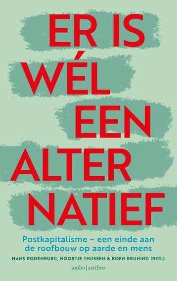 Er is wél een alternatief 9789026364471 Hans Rodenburg, Verzenden, Zo goed als nieuw, Hans Rodenburg