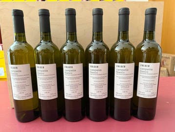 2018 Fulgeo, Guastaferro - Campania - 6 Flessen (0.75 liter)