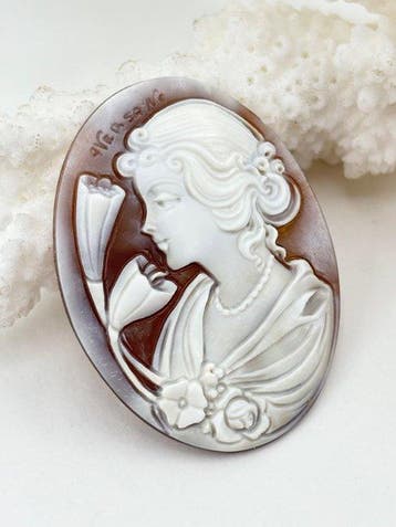 Zonder reserveprijs Cassis madagascariensis - Cameo -