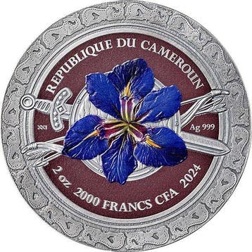 Kameroen. 2000 Francs 2024 Sarmatian - Femina Bellator 2 oz