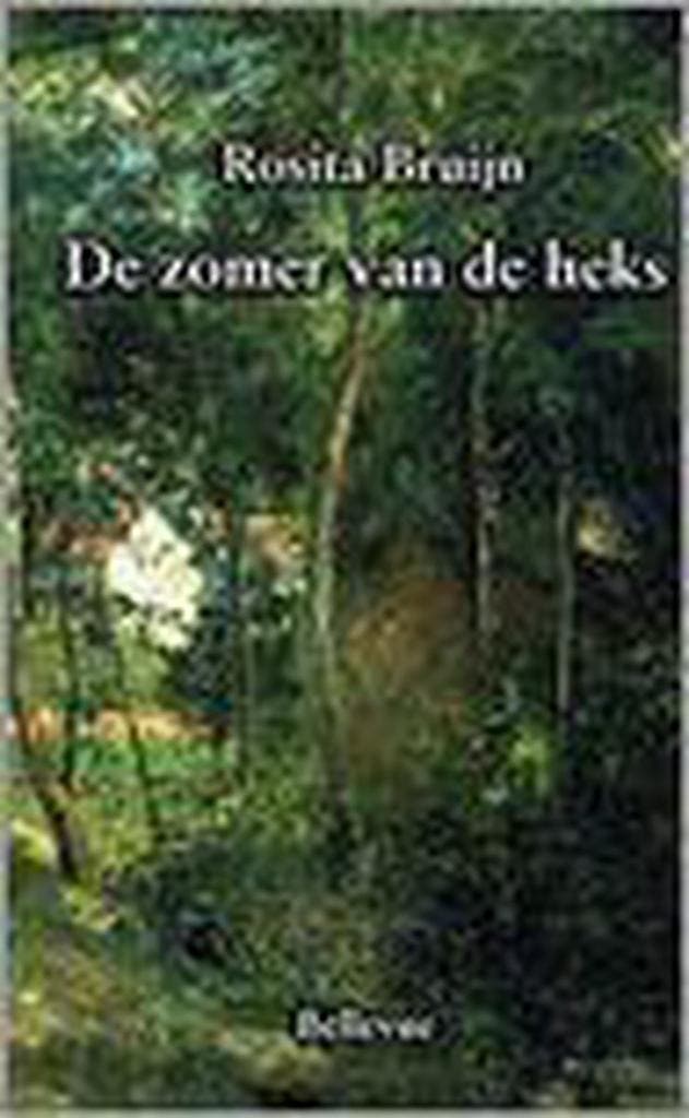 De zomer van de heks 9789080620469 R. Bruijn, Boeken, Kinderboeken | Jeugd | 13 jaar en ouder, Gelezen, Verzenden