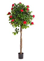 Kunstplant Camelia Roze 160 cm, Verzenden