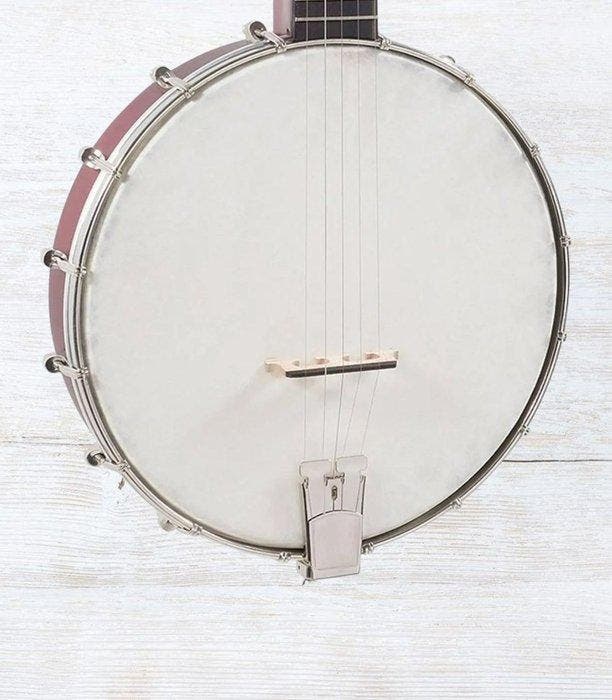 Recording King - RKOH-05 - 5-String Open-Back Banjo - -, Musique & Instruments, Instruments à vent | Flûtes à bec