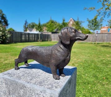 Beeld, Large Bronze Dachshund 33cm - 17.5 cm - Brons - 2026