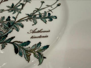 Villeroy & Boch - Botanica - Eetservies (6) - Anthemis