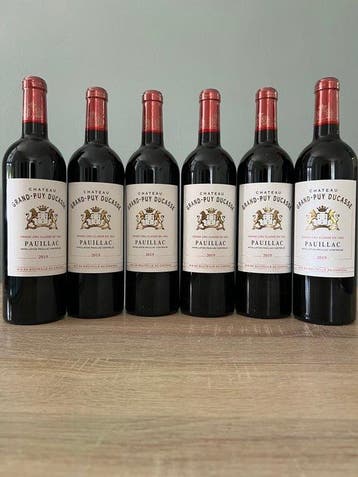 2019 Château Grand Puy Ducasse - Bordeaux 5ème Grand Cru, Nieuw