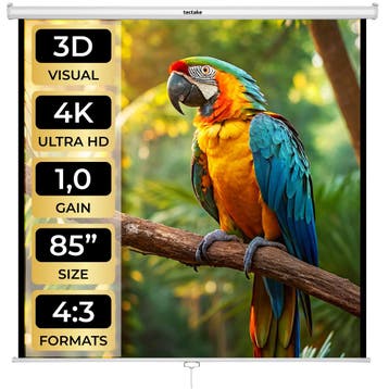 HDTV Beamer scherm - 152 x 152 cm, Audio, Tv en Foto, Televisiebeugels, Verzenden, Nieuw