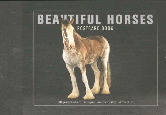 Beautiful Horses Postcard Book 9781782402497 Liz Wright, Boeken, Taal | Engels, Gelezen, Verzenden
