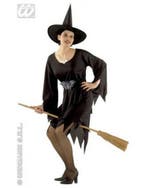 Crudelia halloween heks kostuum, Ophalen of Verzenden, Nieuw