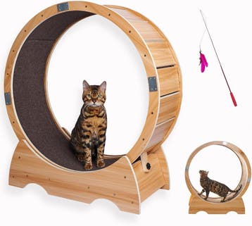 Kattenlooprad Hout -34% | Retour deal voor sportieve katten, Verzenden