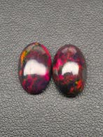 5.45ct Zwarte Opaal Cabochon - Hoogte: 14 mm - Breedte: 9