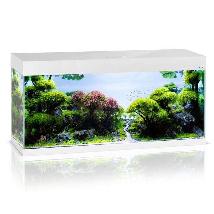 Osaka OptiSet 120 cm Wit (Aquaria & meubels), Animaux & Accessoires, Poissons | Aquariums & Accessoires, Enlèvement ou Envoi