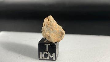 Piccolo Lunaire (troctolitique - brèche fondue) Sans prix de