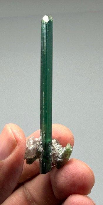 Cristal de tourmaline vert profond et élégant sur Quartz-