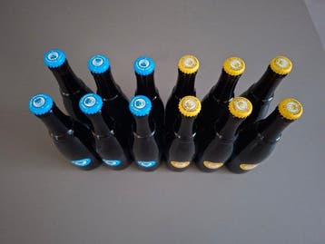 Westvleteren - 6 x VIII + 6 x XII - 33cl - 12 flessen, Nieuw