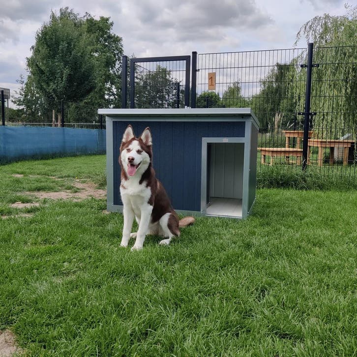 2 jaar garantie! Geisoleerd hondenhok SNEL THUIS  Nachthok, Animaux & Accessoires, Maisons pour chiens, Envoi