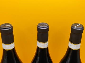 2015 Oddero - Barolo - 3 Bouteilles (0,75 L)