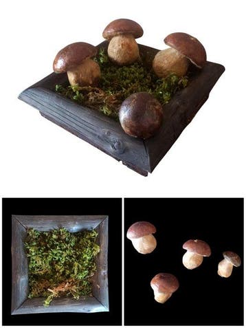Decoratief ornament - Funghi - Composizione - Italië - ca.
