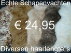 Schapenvacht OPRUIMING 100% schapenvel € 24,95 GROOT ASS., Verzenden