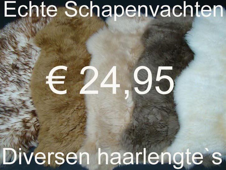 Schapenvacht OPRUIMING 100% schapenvel € 24,95 GROOT ASS., Maison & Meubles, Accessoires pour la Maison | Autre, Envoi
