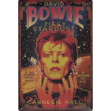 Wandbord Concert Bord - David Bowie Ziggy Stardust 1972, Collections, Poster, Artwork of Schilderij