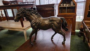 Statue, Groot bronzen paard - 69101 cm - Bronze - 1950, Antiek en Kunst