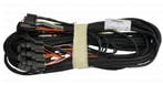 Webasto Kabelboom Thermo Top C E Z, Ophalen of Verzenden, Nieuw