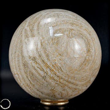 Natuurlijke AA+++ Fossiele Goniopora-koraalbol, Australië,