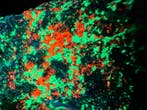 super fel confetti willemiet en calciet. Fluorescerende -