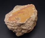 Oud-Romeins, Keizerrijk Grote veelkleurige fragment van een