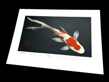 Little Comet 4 Stark Black- Signed and numbered by the