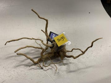 Spiderwood Selected SW95 - 35x15x16cm (Spider wood), Ophalen of Verzenden, Nieuw, Plant(en), Steen of Hout
